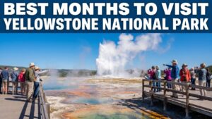 Best Months to Visit Yellowstone National Park
