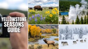Best Time to Visit Yellowstone Park